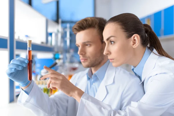 Cientistas segurando tubo de laboratório — Fotografia de Stock