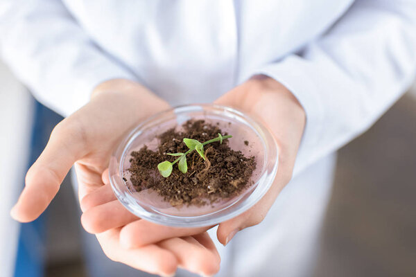 scientist with plant in container