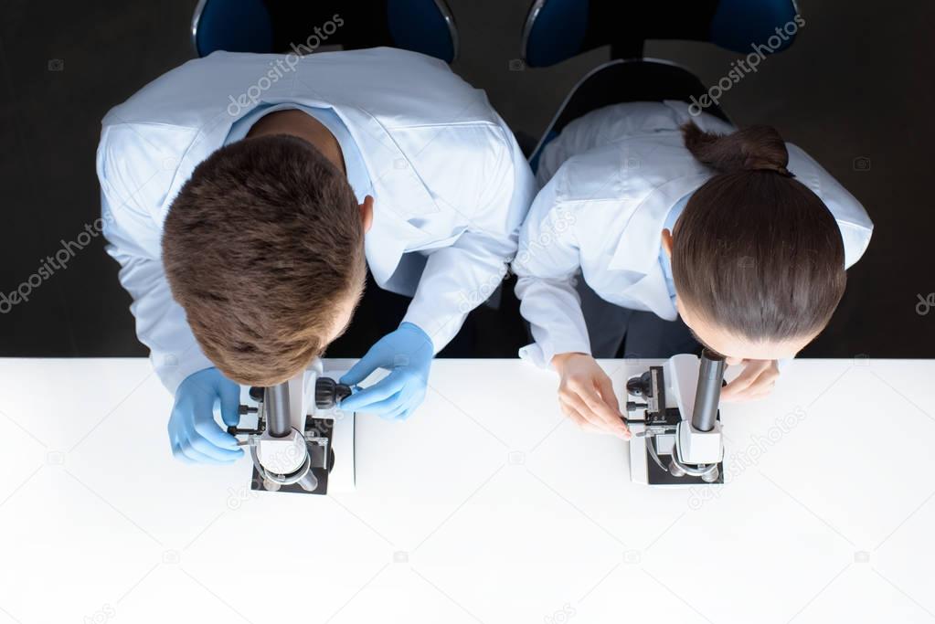 scientists working with microscopes