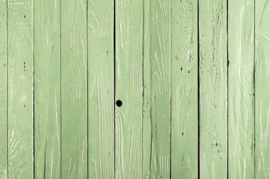 Green wooden background clipart