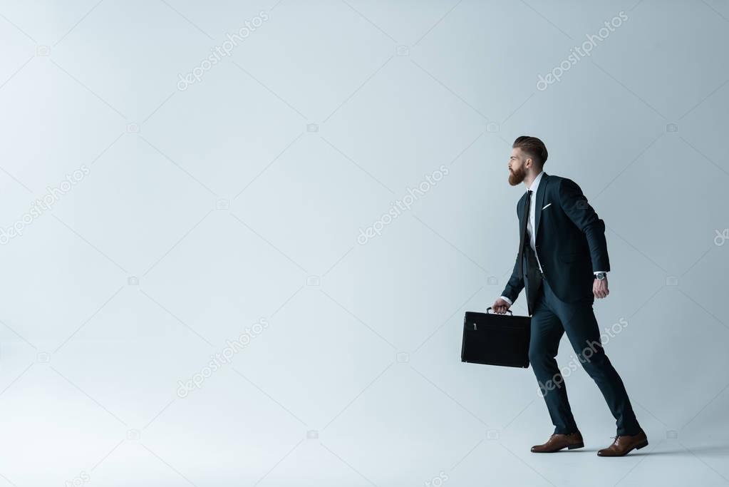 Handsome businessman with briefcase