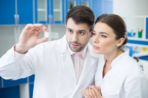 Scientists analyzing microscope slide — Stock Photo, Image