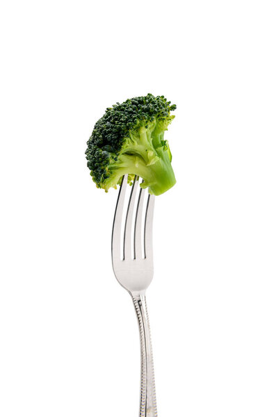 fresh broccoli on fork
