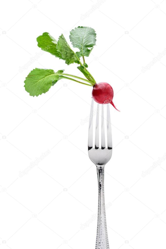 fresh radish on fork 