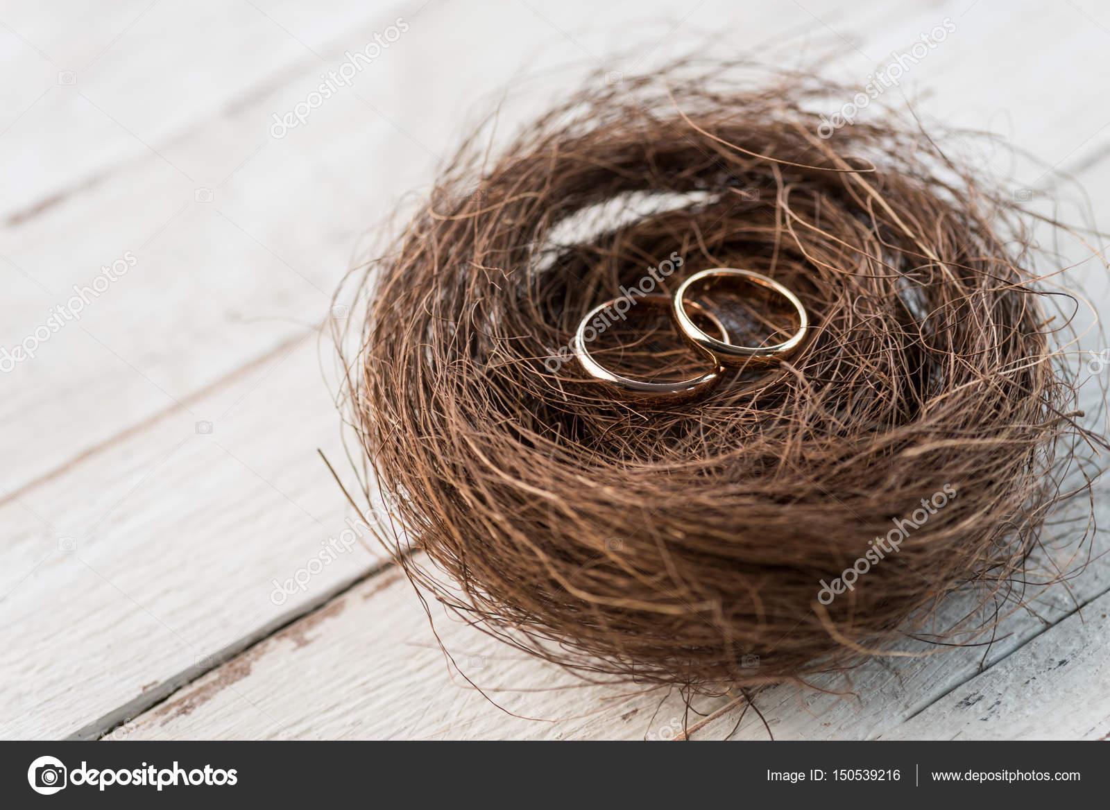 Wedding rings on nest — Stock Photo © IgorTishenko 150539216