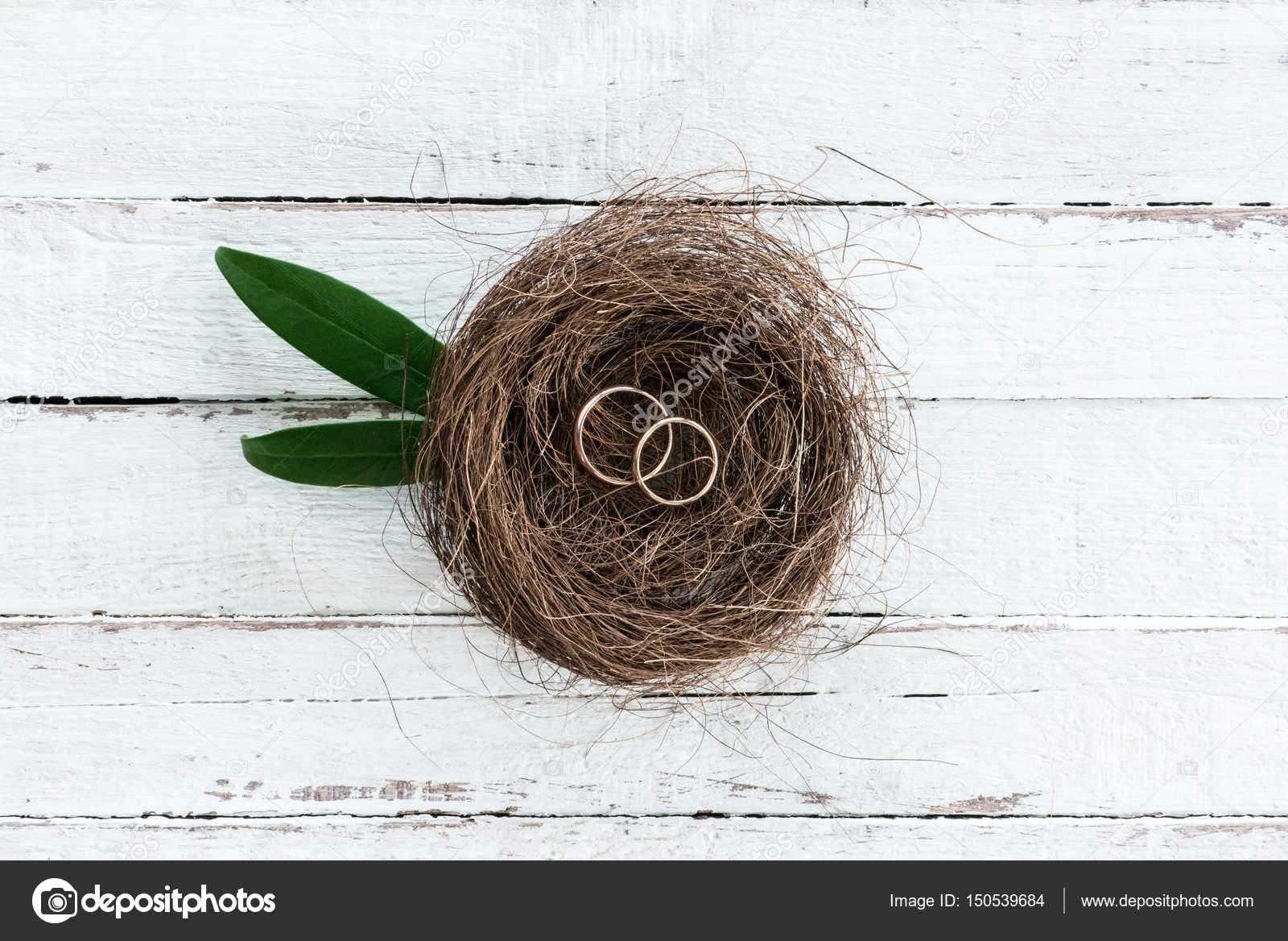 Wedding rings on nest — Stock Photo © IgorTishenko 150539684