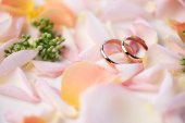 Wedding rings on rose petals