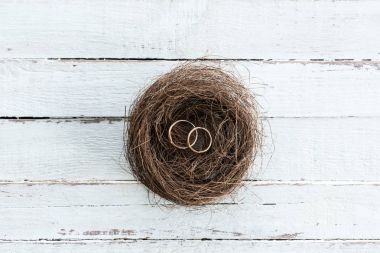Wedding rings on nest clipart