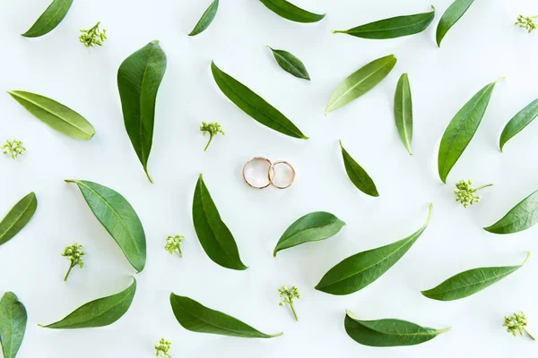 Anéis de casamento e folhas verdes — Fotografia de Stock