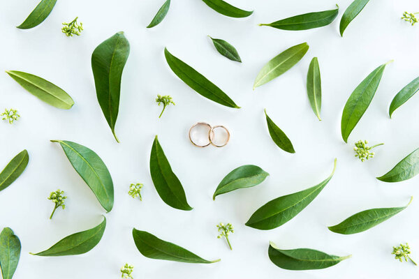 Wedding rings and green leaves