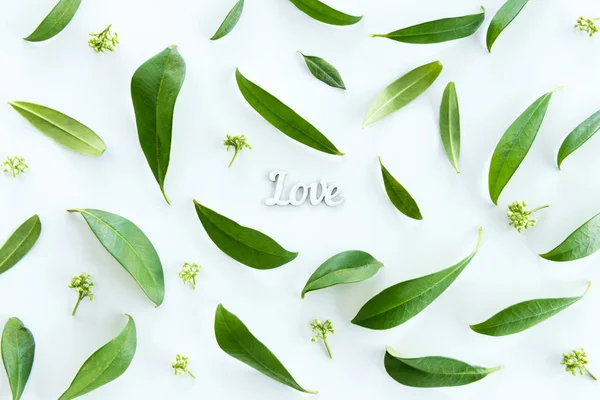 Green leaves and love symbol — Stock Photo, Image