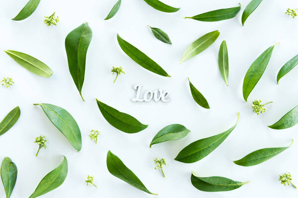 Green leaves and love symbol