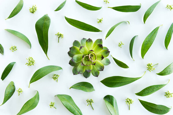 Wedding rings and green leaves