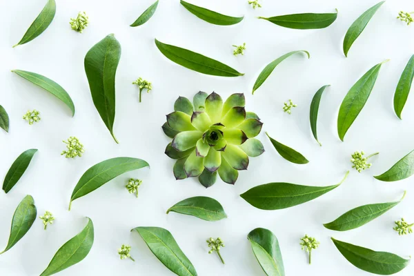 Green leaves pattern — Stock Photo, Image