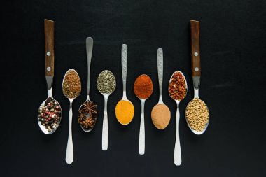 various spices and herbs in metal spoons clipart