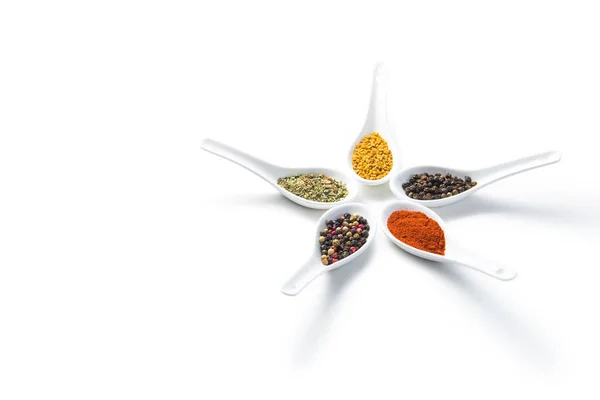 Various spices in spoons 