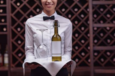 Sommelier Şarap mahzeni ile