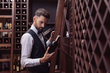 Sommelier Şarap mahzeni