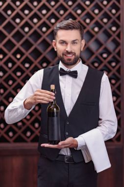 Sommelier Şarap şişe