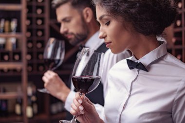 Mahzeni şarap tatma sommeliers