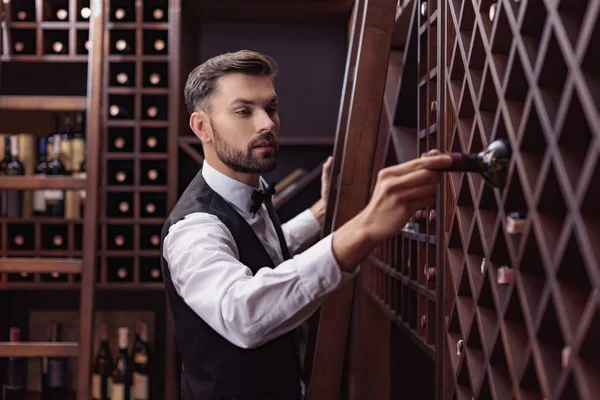 Sommelier Şarap mahzeni