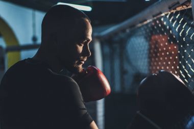 kaslı sporcu boks eldiven