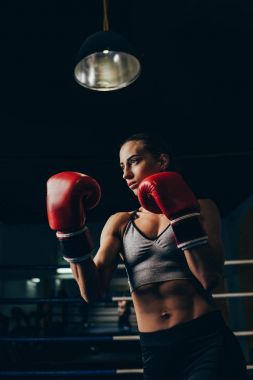erkek boxer
