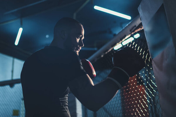 мускулистый спортсмен в боксёрских перчатках
