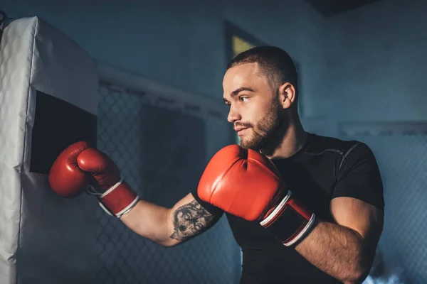A boksz-kesztyűket izmos sportember — Stock Fotó
