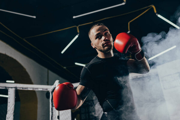 мускулистый спортсмен в боксёрских перчатках
