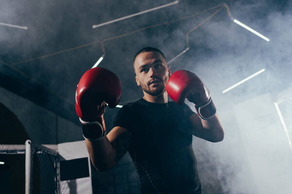 мускулистый спортсмен в боксёрских перчатках
