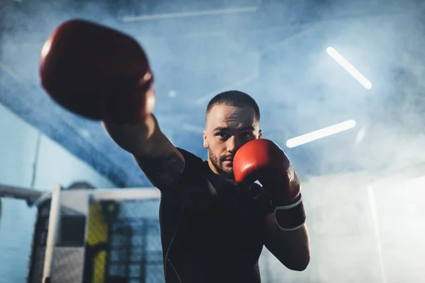 Muscular sportsman in boxing gloves — Stock Photo, Image