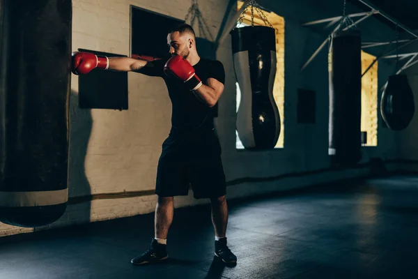 Allenamento boxer con sacco da boxe — Foto Stock