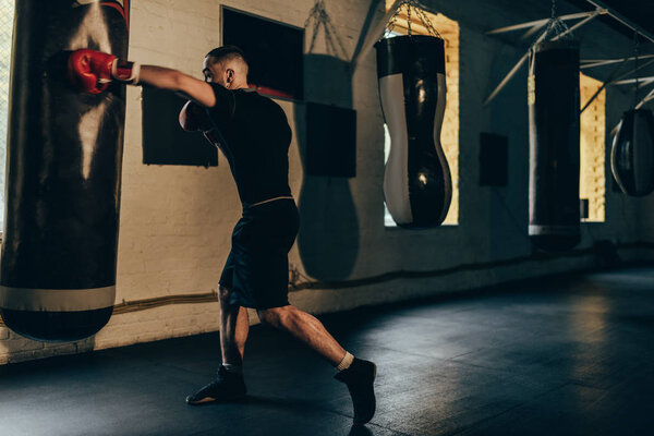 Обучение боксеров с боксерской грушей