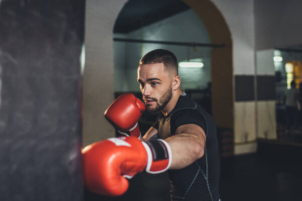 boxer training with punching bag