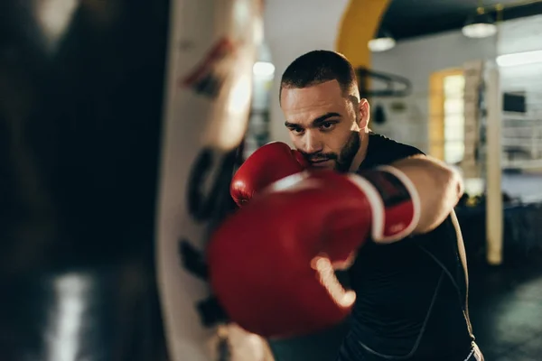 Boxer training with punching bag — Stock Photo, Image