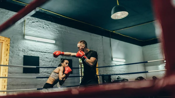 Тренування боксерів на боксерському кільці — стокове фото