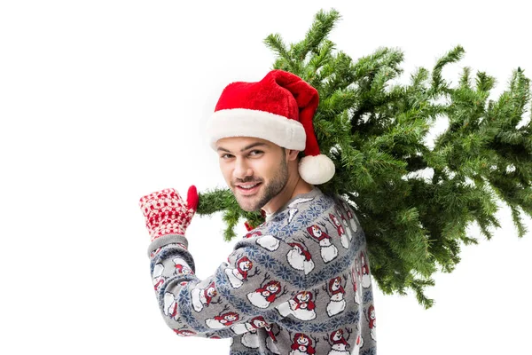 Homme portant un arbre de Noël — Photo