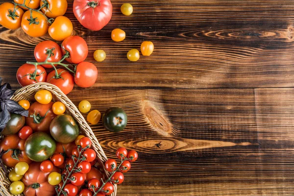 Fresh tomatoes in basket — Stock Photo