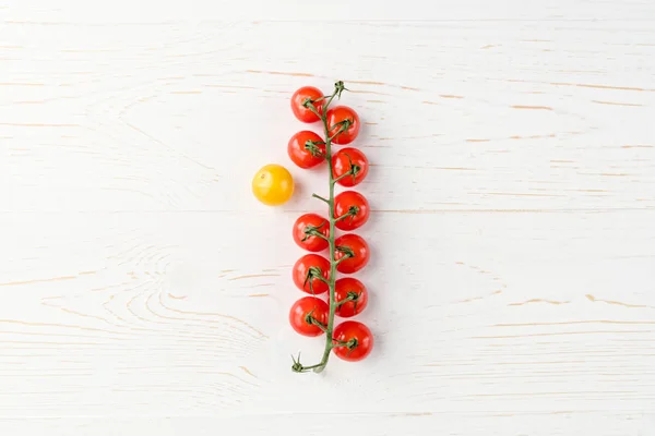 Tomates frescos maduros - foto de stock