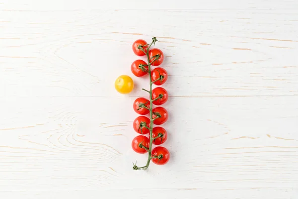 Fresh ripe tomatoes — Stock Photo