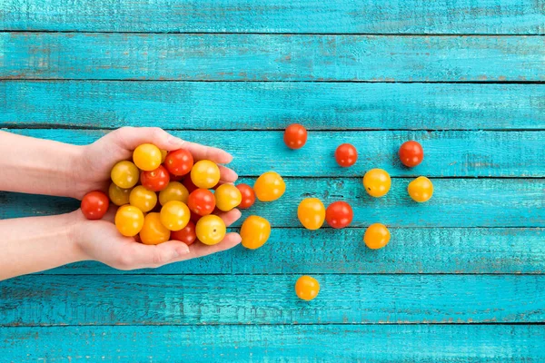 Manos que sostienen tomates cherry - foto de stock
