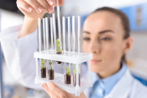 Scientist with laboratory tubes — Stock Photo