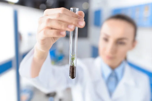 Cientista com tubo de laboratório — Fotografia de Stock