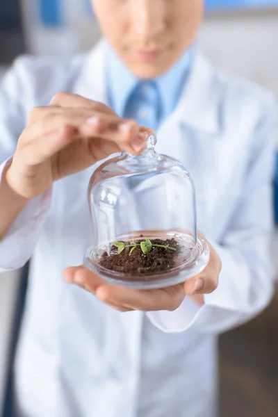 Scientist with plant in container — Stock Photo