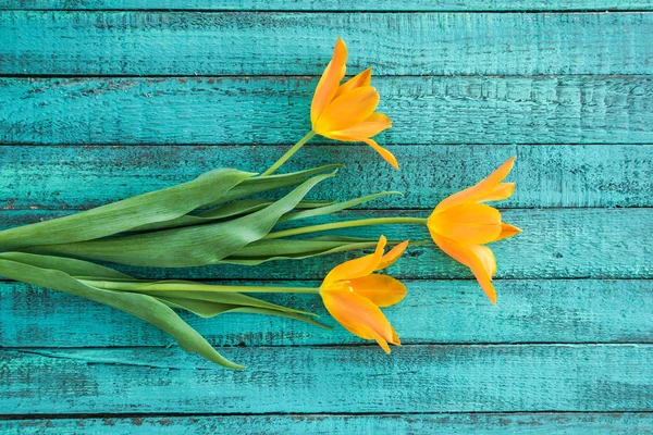 Ramo de tulipanes amarillos - foto de stock