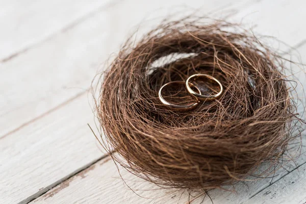 Wedding rings on nest — Stock Photo