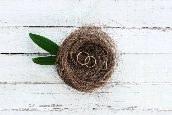 Eheringe am Nest — Stock Photo