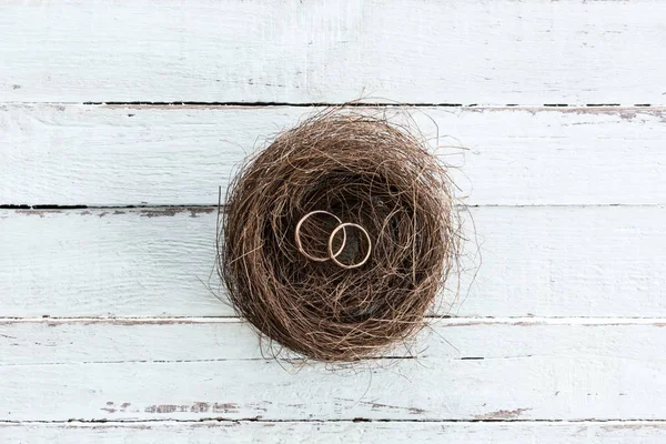 Anneaux de mariage sur le nid — Photo de stock