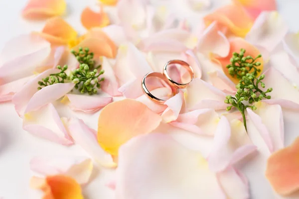 Anéis de casamento em pétalas de rosa — Fotografia de Stock